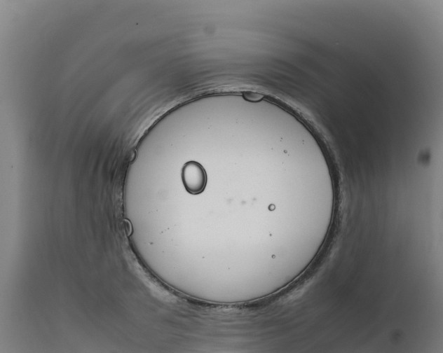 X0000112410897200908281811