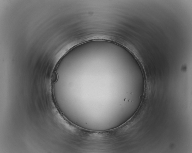 X0000112410898200908281811