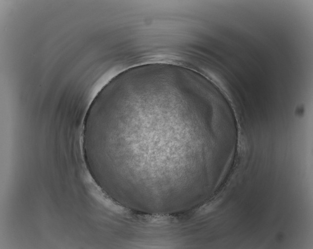 X0000112410899200908281811