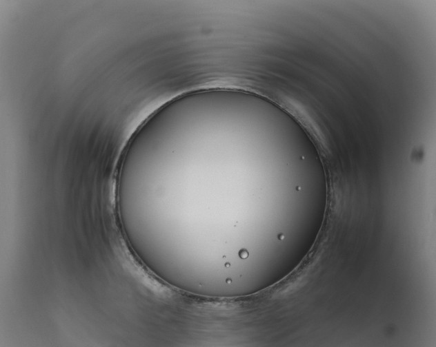 X0000112410900200908281811