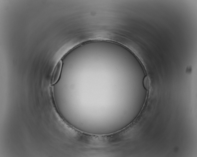 X0000112410901200908281811