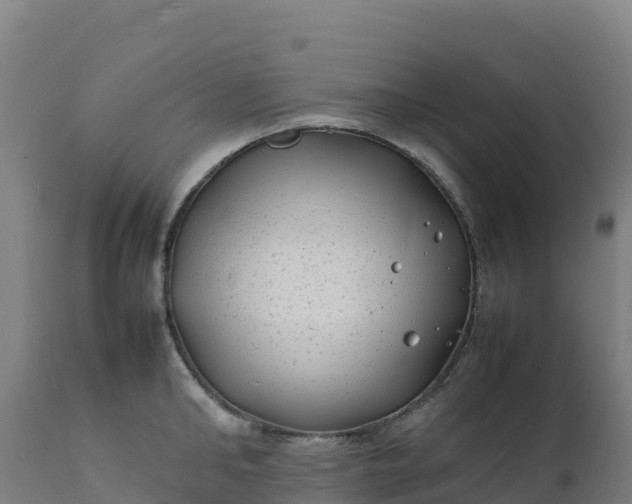 X0000112410902200908281811