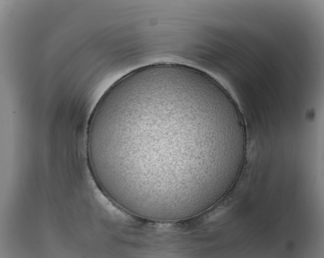 X0000112410903200908281811