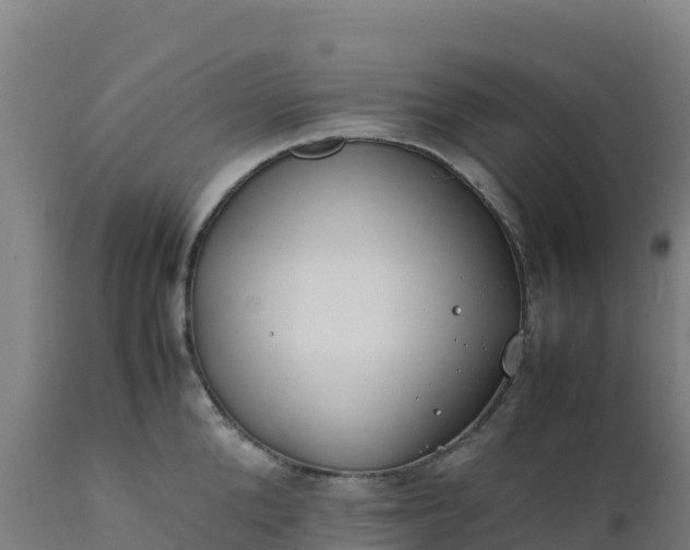 X0000112410904200908281811