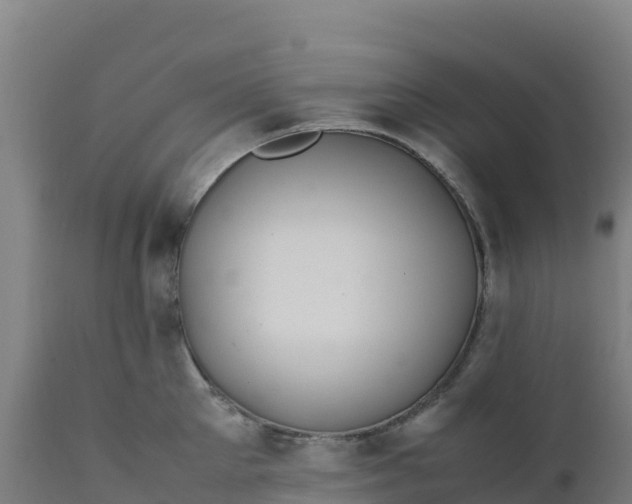 X0000112410905200908281811