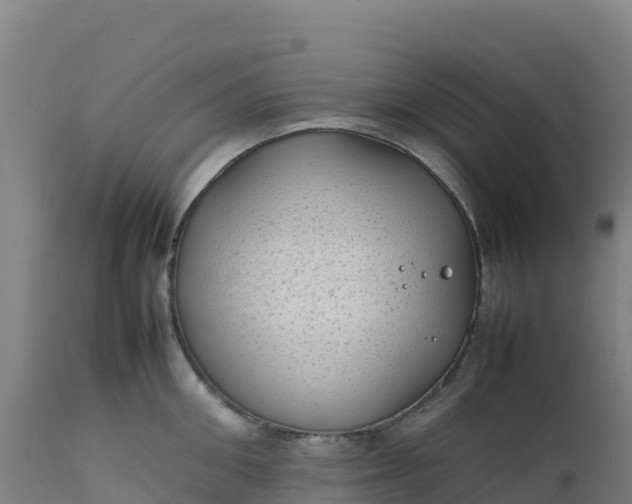 X0000112410906200908281811