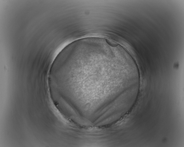 X0000112410907200908281811