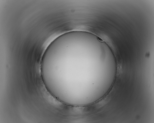 X0000112410908200908281811