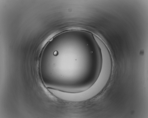 X0000112410909200908281811