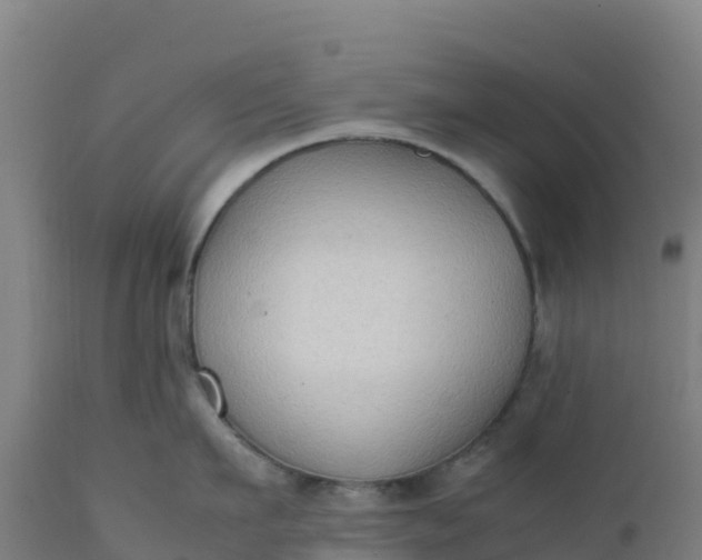 X0000112410911200908281811