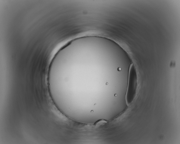 X0000112410912200908281811