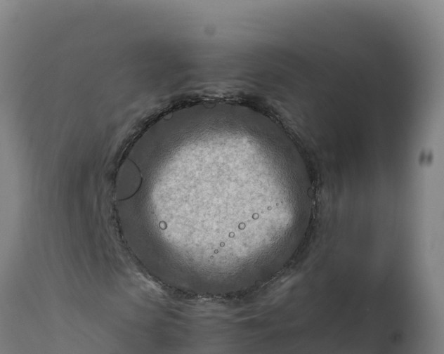 X0000112410913200908281810