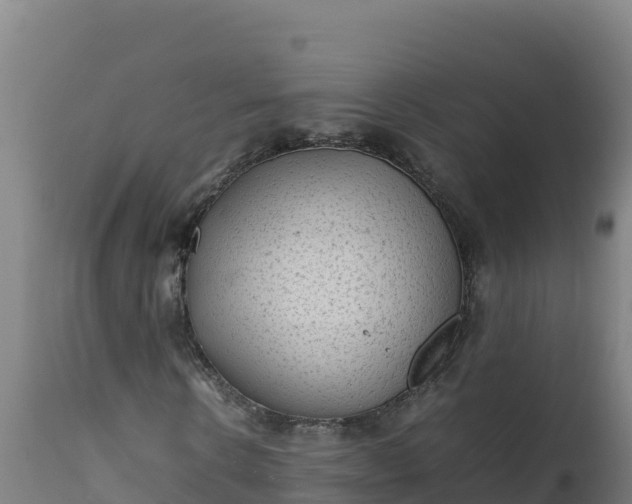 X0000112410914200908281810