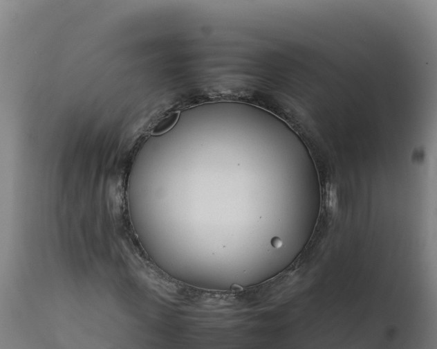 X0000112410915200908281810