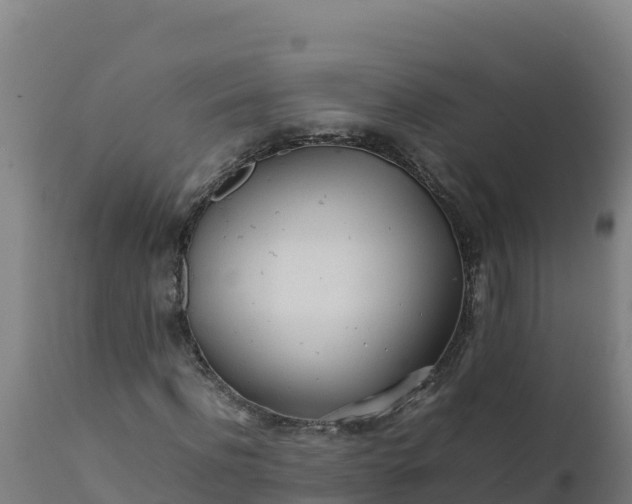 X0000112410916200908281810