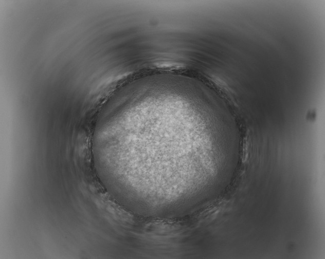 X0000112410917200908281810