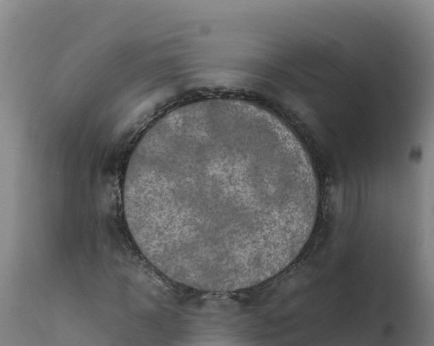 X0000112410918200908281810