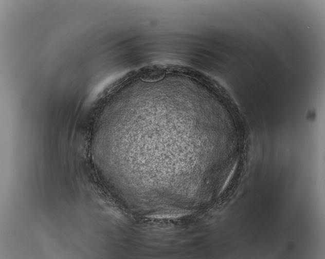 X0000112410919200908281810