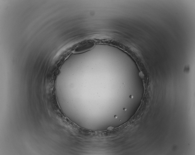 X0000112410920200908281810