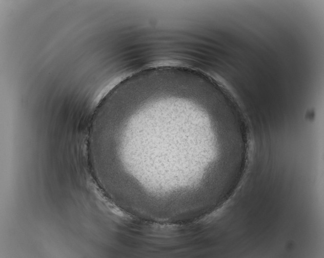 X0000112410921200908281810