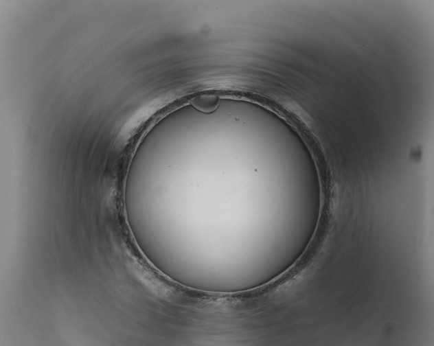 X0000112410922200908281810