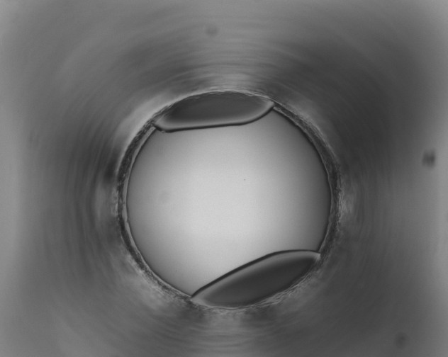 X0000112410924200908281810