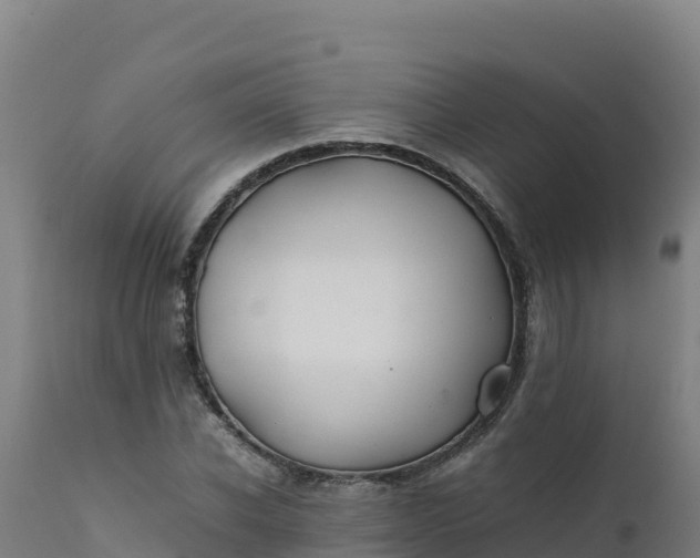 X0000112410926200908281810