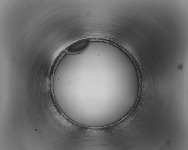 X0000112410928200908281810