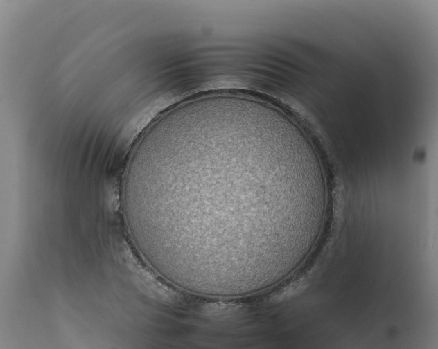 X0000112410929200908281810