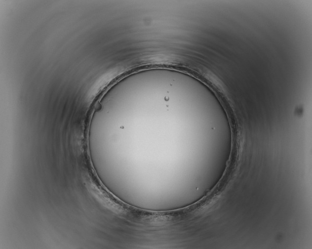 X0000112410930200908281810