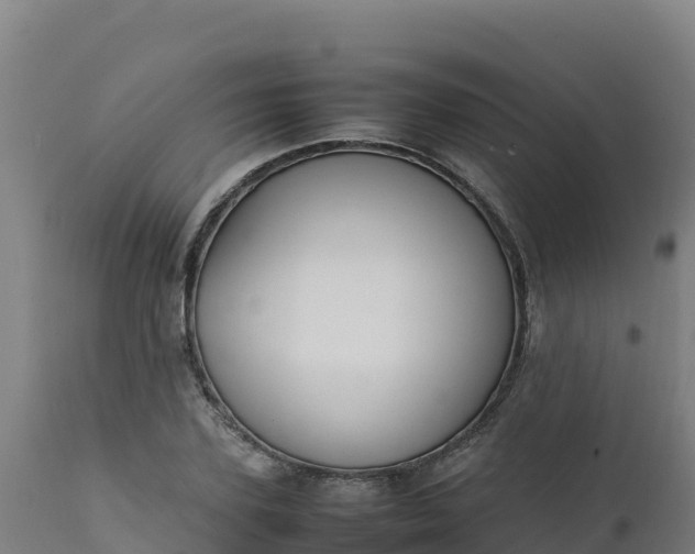 X0000112410931200908281810