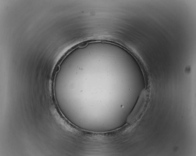 X0000112410932200908281810