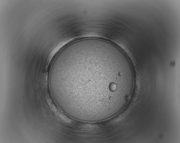 X0000112410933200908281810