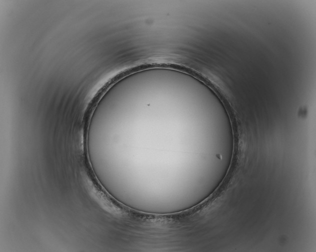 X0000112410934200908281810