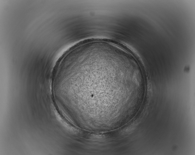 X0000112410935200908281811