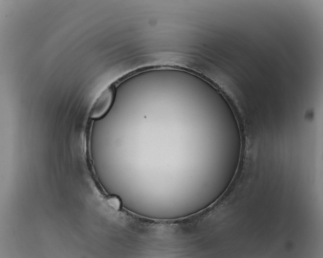 X0000112410936200908281811