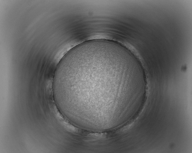 X0000112410937200908281811