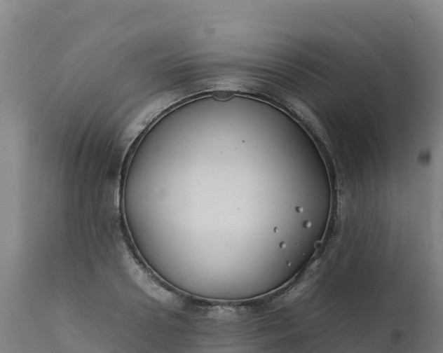 X0000112410938200908281811