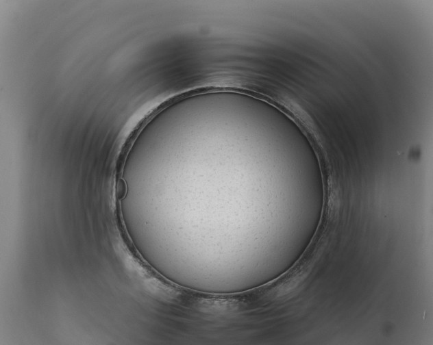 X0000112410939200908281811