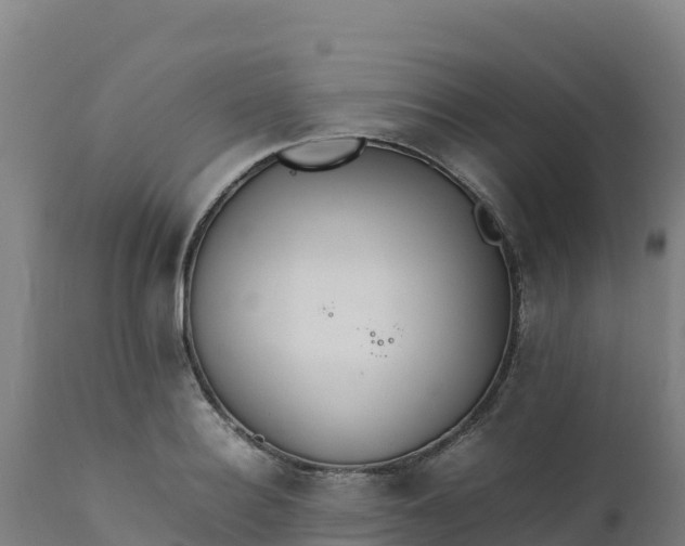 X0000112410940200908281811