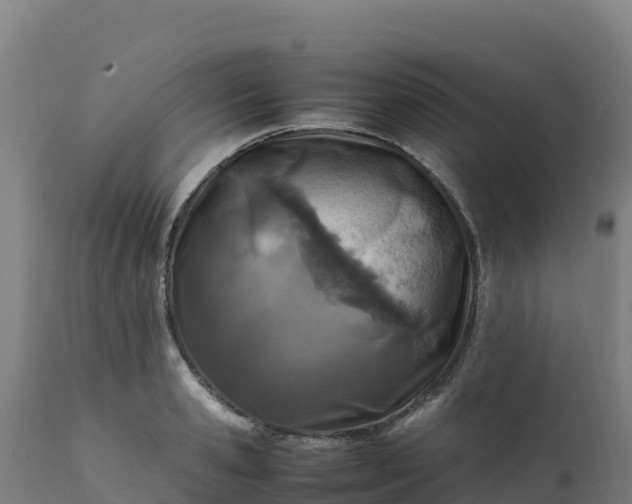 X0000112410941200908281811