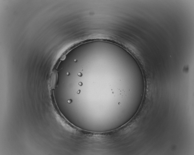 X0000112410942200908281811