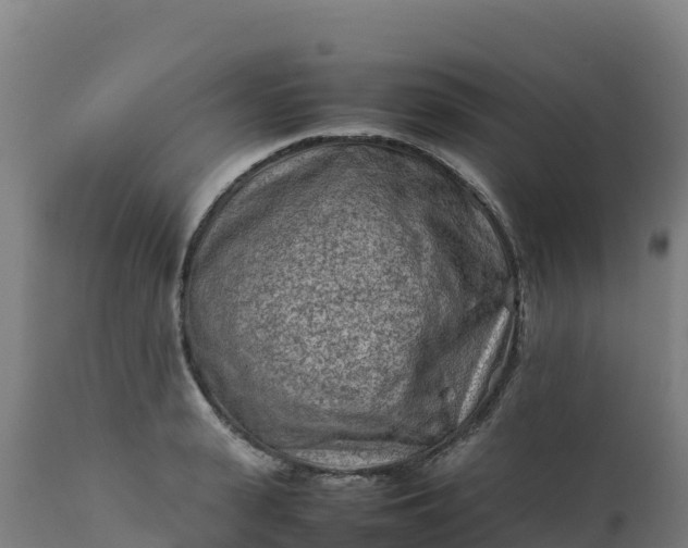 X0000112410943200908281811