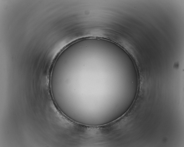 X0000112410944200908281811