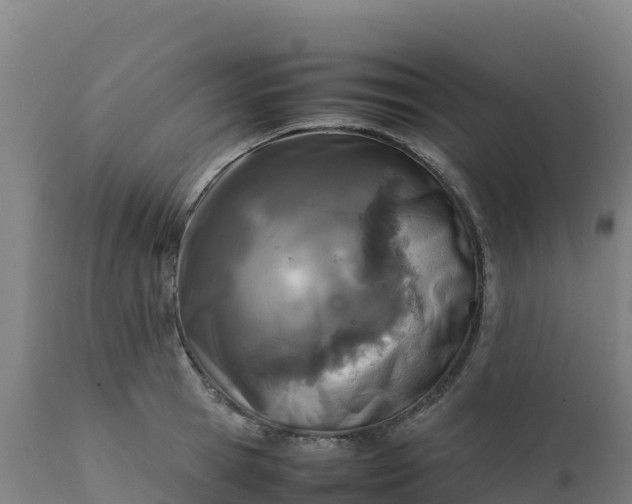 X0000112410945200908281811