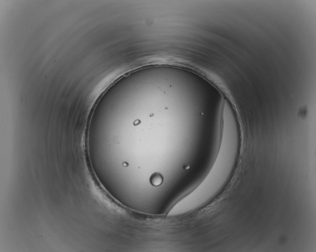 X0000112410946200908281811