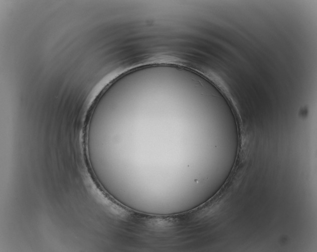 X0000112410947200908281811