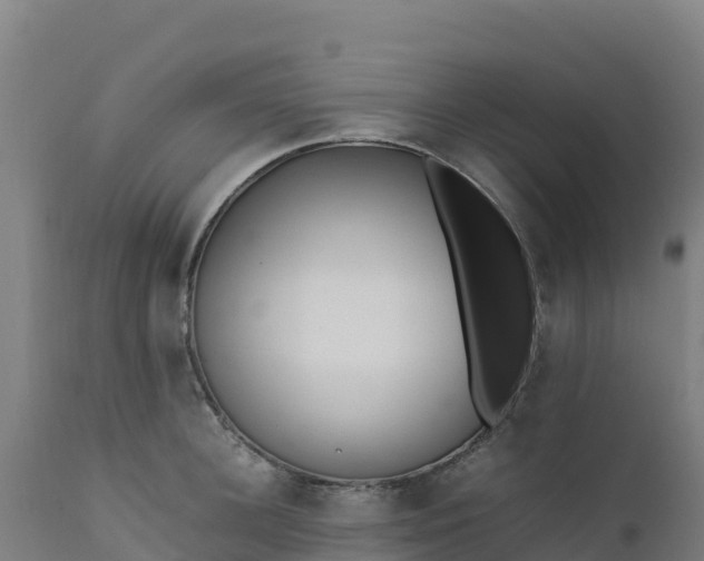 X0000112410948200908281811