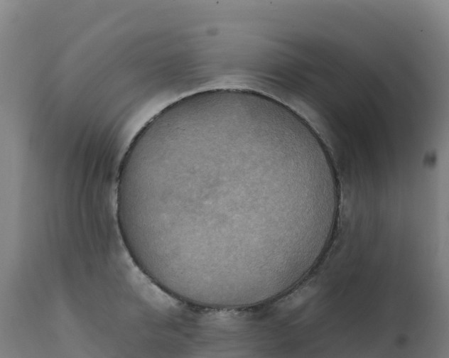 X0000112410950200908281811