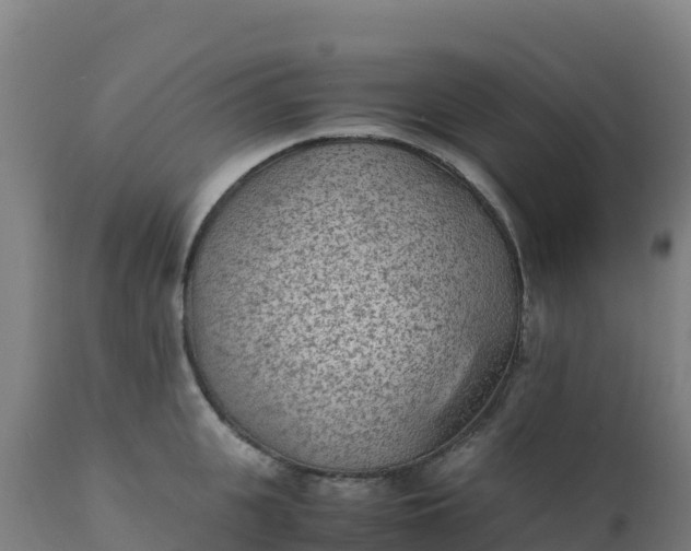 X0000112410951200908281811